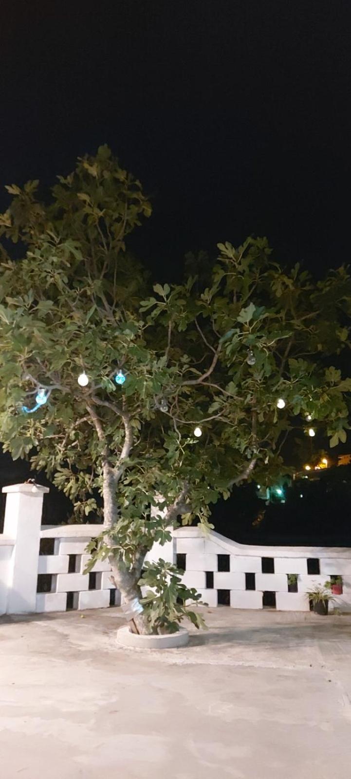 Apartment Biokovo Krvavica Dış mekan fotoğraf