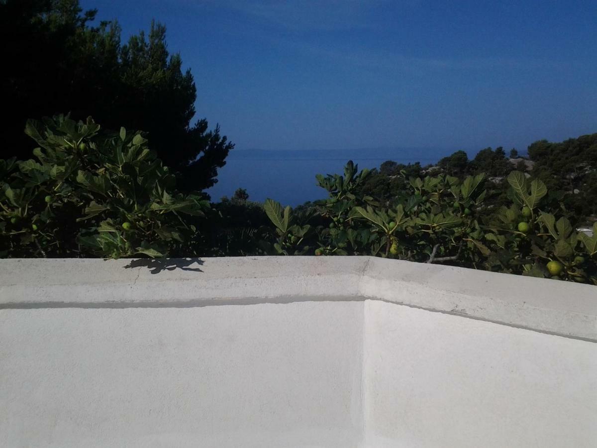 Apartment Biokovo Krvavica Dış mekan fotoğraf