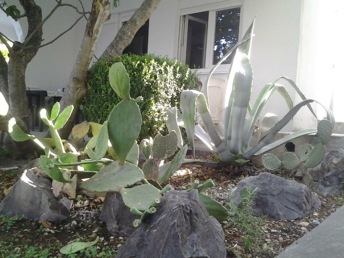 Apartment Biokovo Krvavica Dış mekan fotoğraf