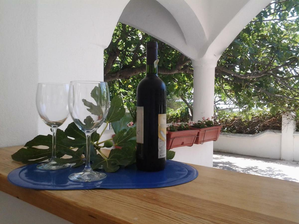 Apartment Biokovo Krvavica Dış mekan fotoğraf
